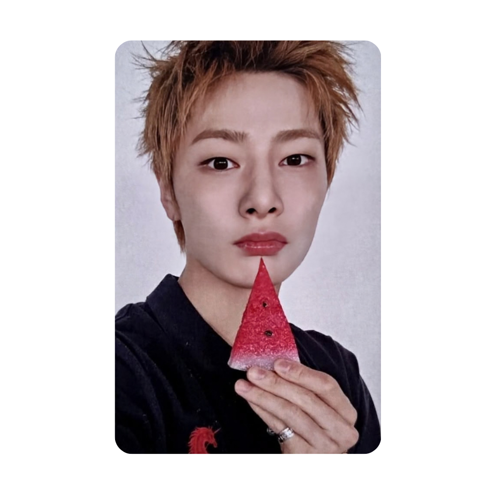 Stray Kids - THIS & THAT - FANS SHOP POB