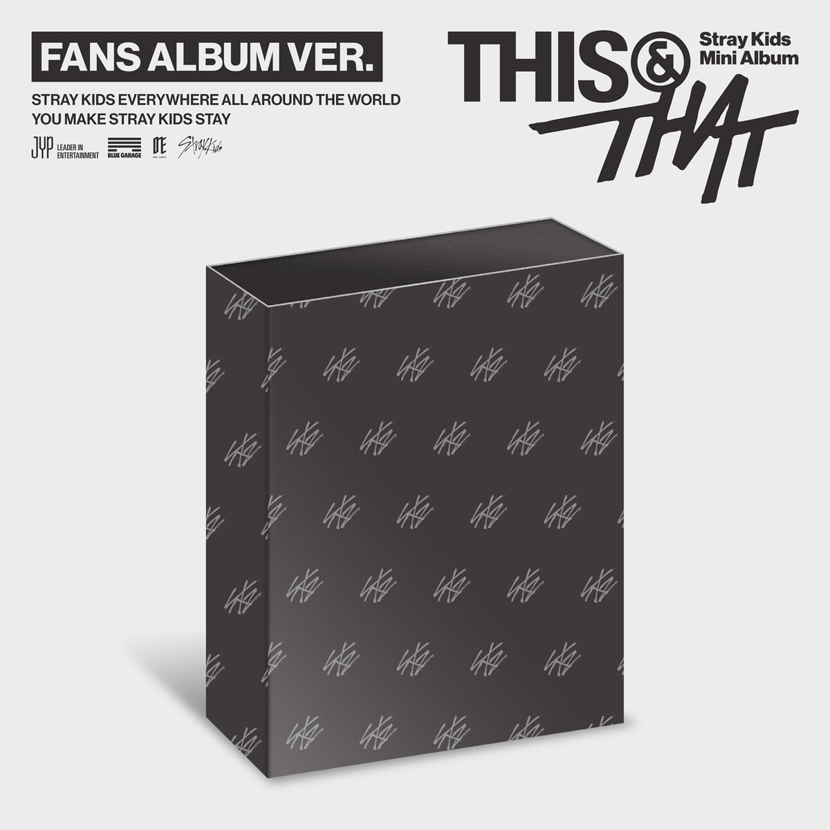 Stray Kids - THIS & THAT - FANS ALBUM Version