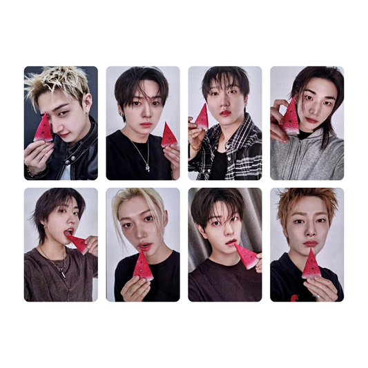 Stray Kids - THIS & THAT - FANS SHOP POB