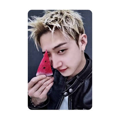 Stray Kids - THIS & THAT - FANS SHOP POB