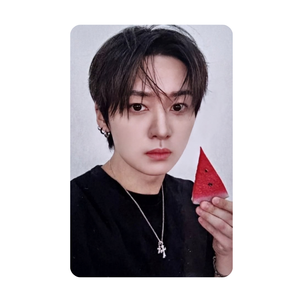 Stray Kids - THIS & THAT - FANS SHOP POB