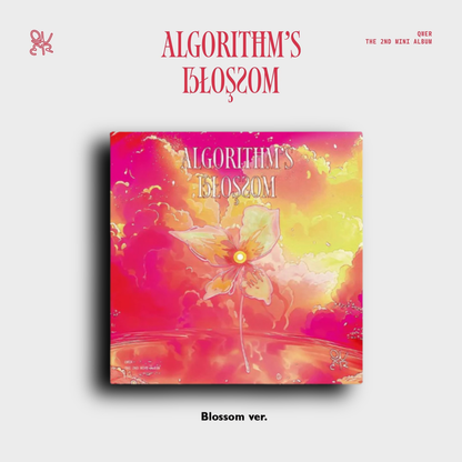 QWER - Algorithm's Blossom