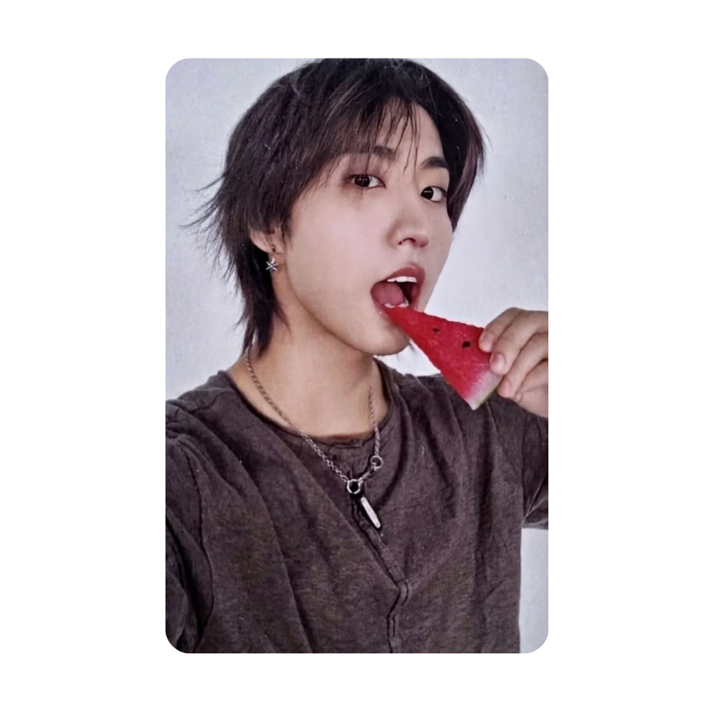 Stray Kids - THIS & THAT - FANS SHOP POB
