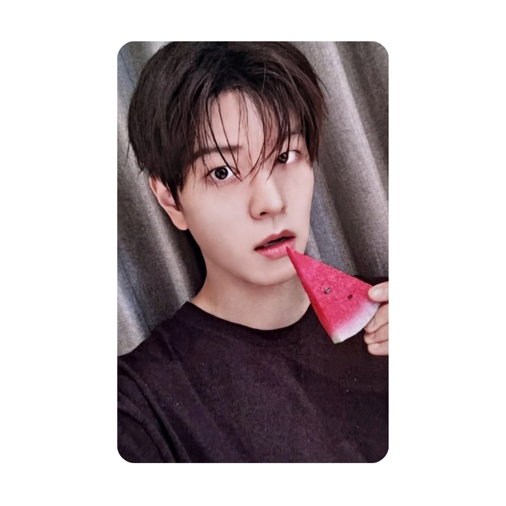 Stray Kids - THIS & THAT - FANS SHOP POB