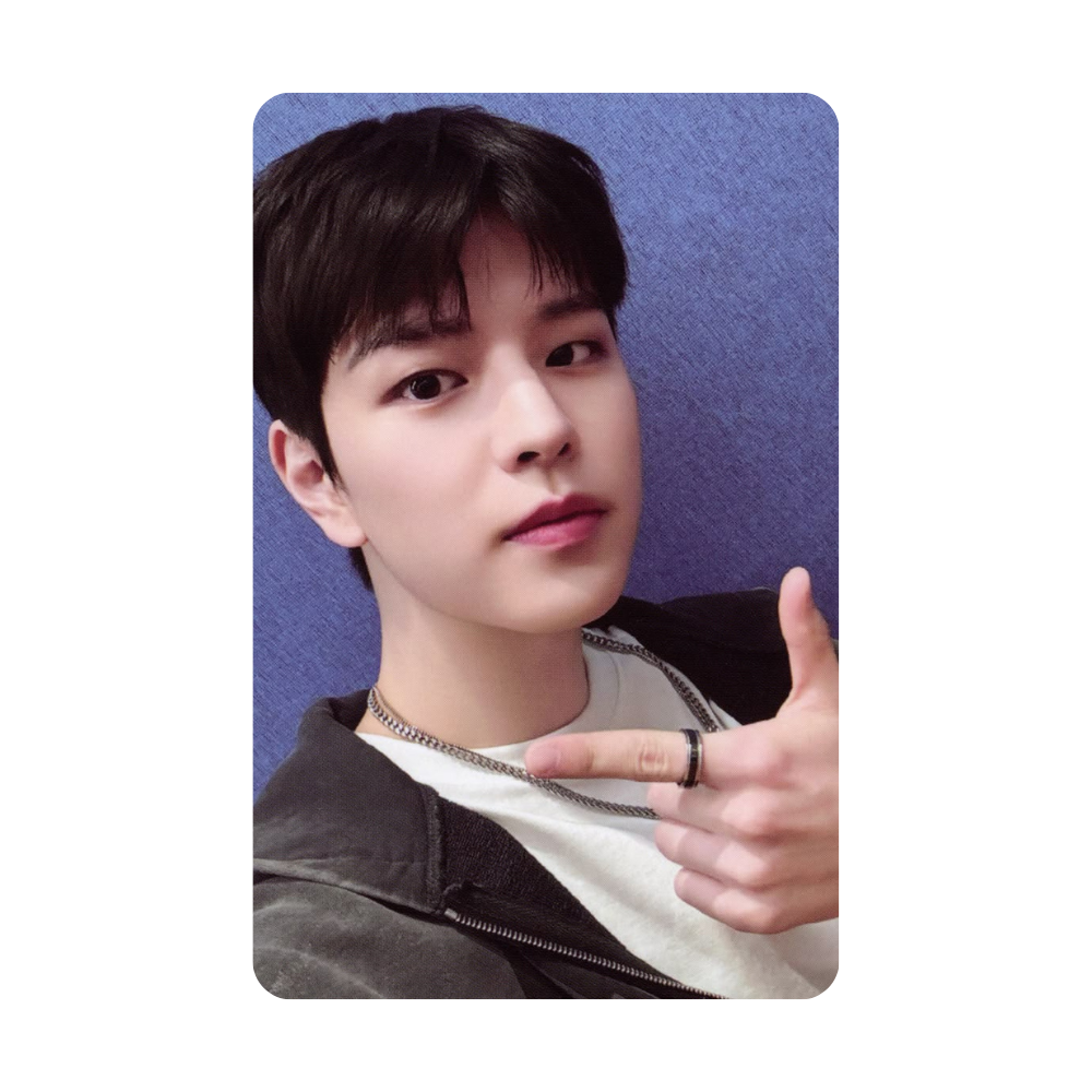 Stray Kids - World Tour〈dominATE SEOUL〉 PHOTOCARD