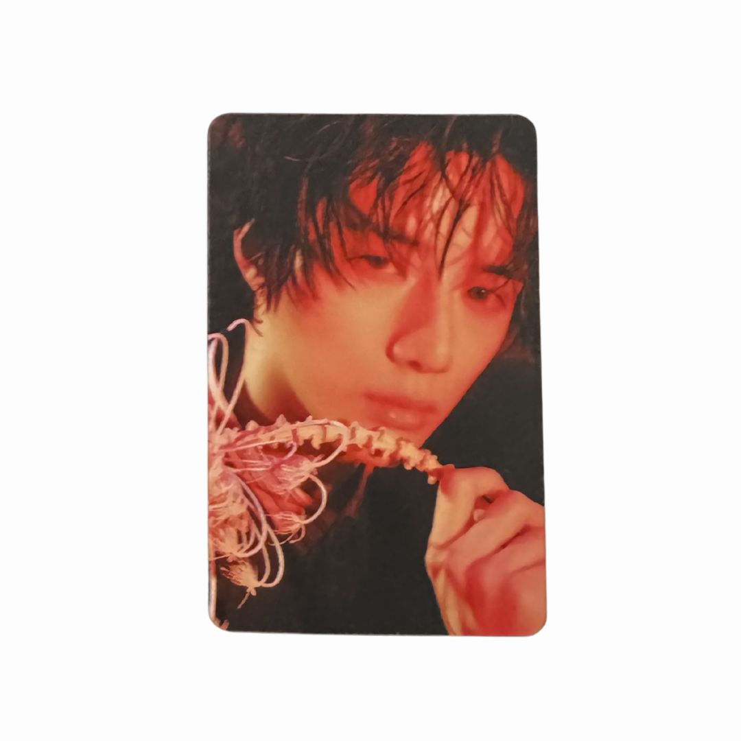 TXT - 7TH YEAR: WHEN THE WIND PAUSED AMONG THE THORNS - Photocard Apple Music