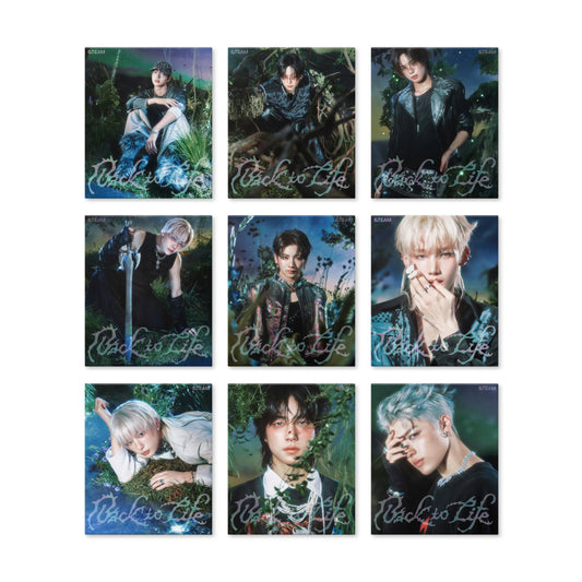&TEAM - KR 1. Mini Album [Back to Life] ROAR Ver.