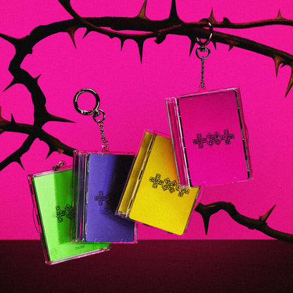 TXT - 7TH YEAR: WHEN THE WIND PAUSED AMONG THE THORNS - Photocard Case Version