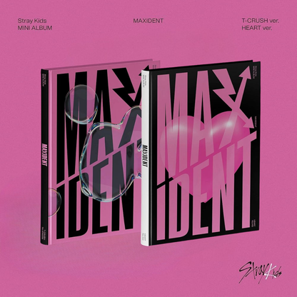 Stray Kids - MAXIDENT