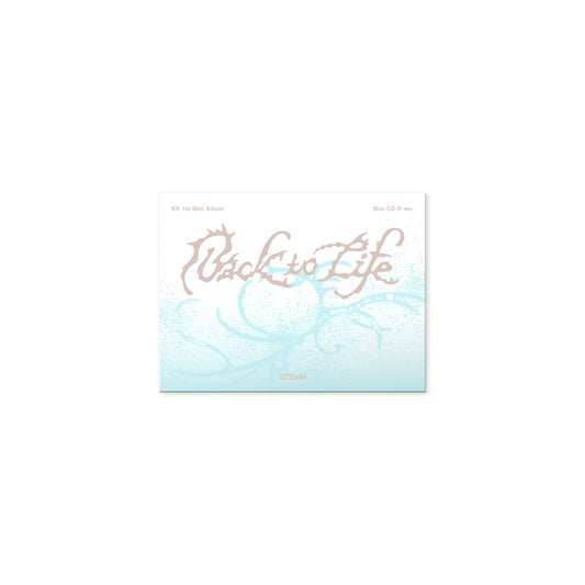 &TEAM - Back to Life - Mini CD-R Version