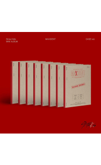 Stray Kids - MAXIDENT - Case Version