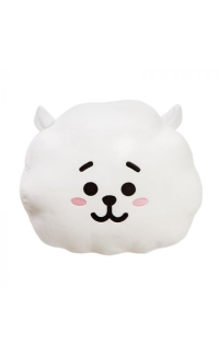 BT21 RJ kussen 32 cm