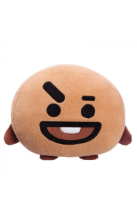 BT21 SHOOKY kussen 28 cm