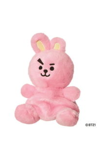 BT21 COOKY Palm Pal 13 cm