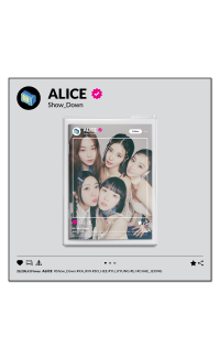 ALICE - SHOW DOWN