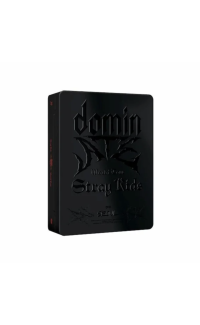 STRAY KIDS - WORLD TOUR DOMINATE SEOUL DVD