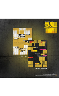 Stray Kids - Clé 2 : Yellow Wood